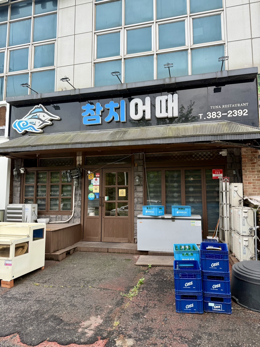 참치어때 사진 3