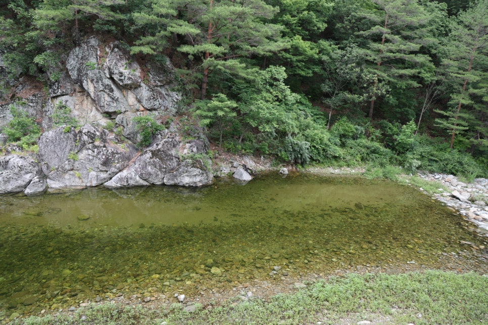 동활계곡 사진 5