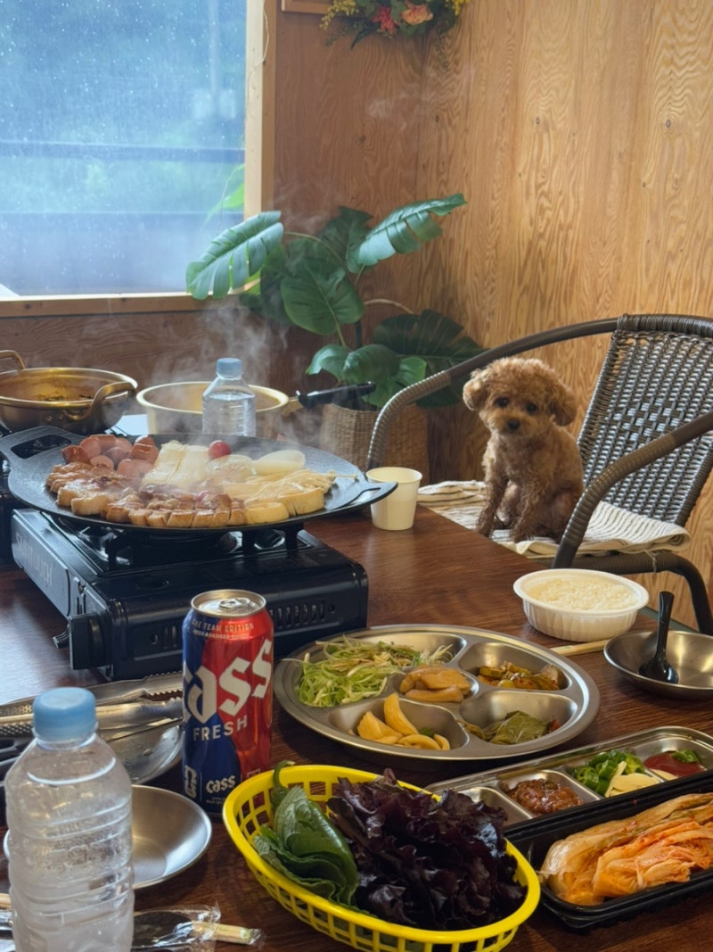 양평 애견동반식당 서울근교 맛집 바베큐팩토리