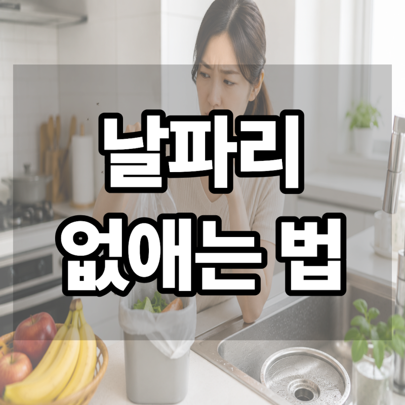 날파리 없애는 법, 잡아도 계속 생긴다면 원인부터 확인하세요
