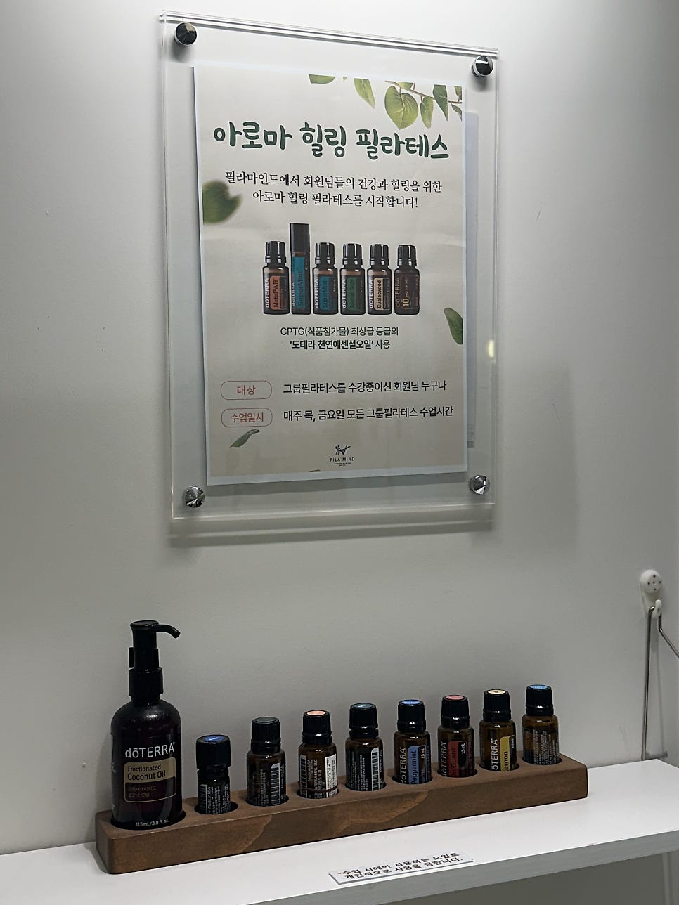 머슬마인드 마포공덕점 사진 2
