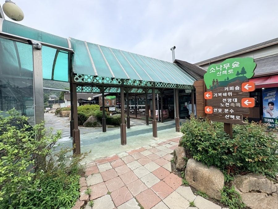 하늘천따지 사진 5