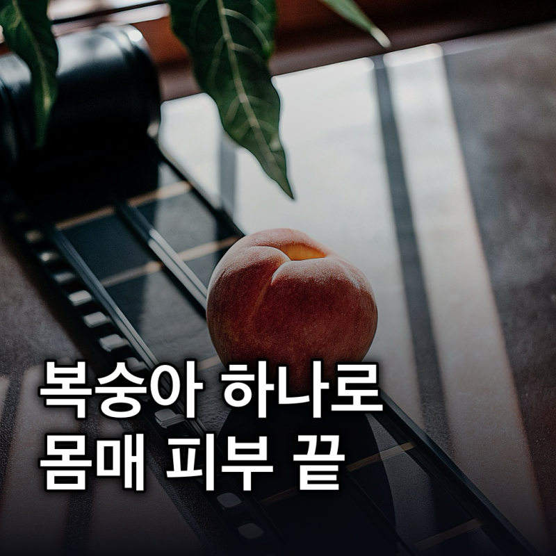 복숭아 효능, 칼로리 총정리: 다이어트부터 피부까지 챙기는 비결