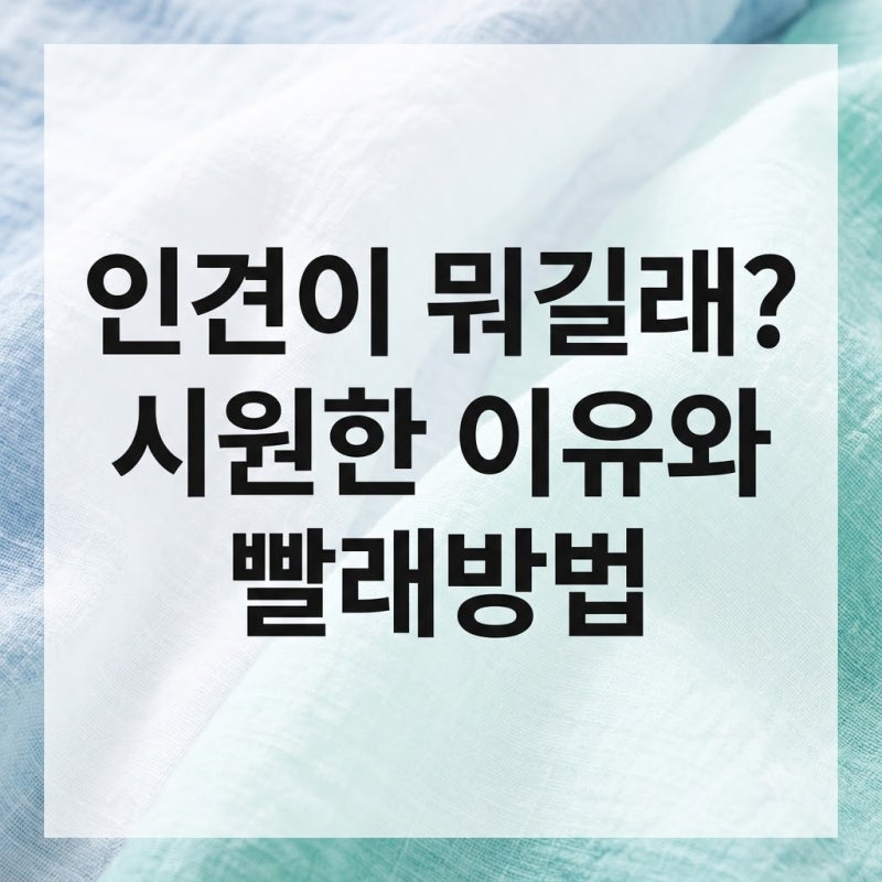 땀 많은 체질이라면 필독! 풍기 인견 장점부터 단점, 세탁 주의사항까지 총정리