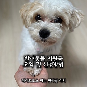 지원금 받으며 반려동물 키우자! 서울시 반려동물 지원금 사업 요약 및 신청방법