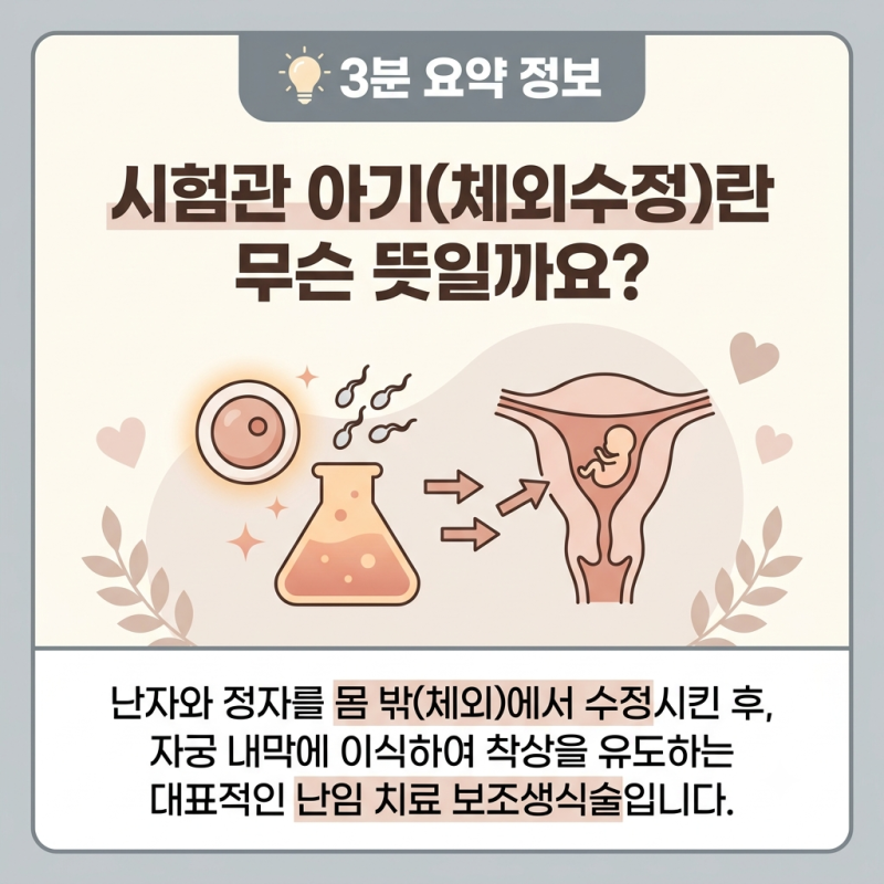 [시험관 정보] 시험관 뜻, 시험관아기 시술과정 및 비용 총정리 (+ 정부지원 금액 신청 방법, ....