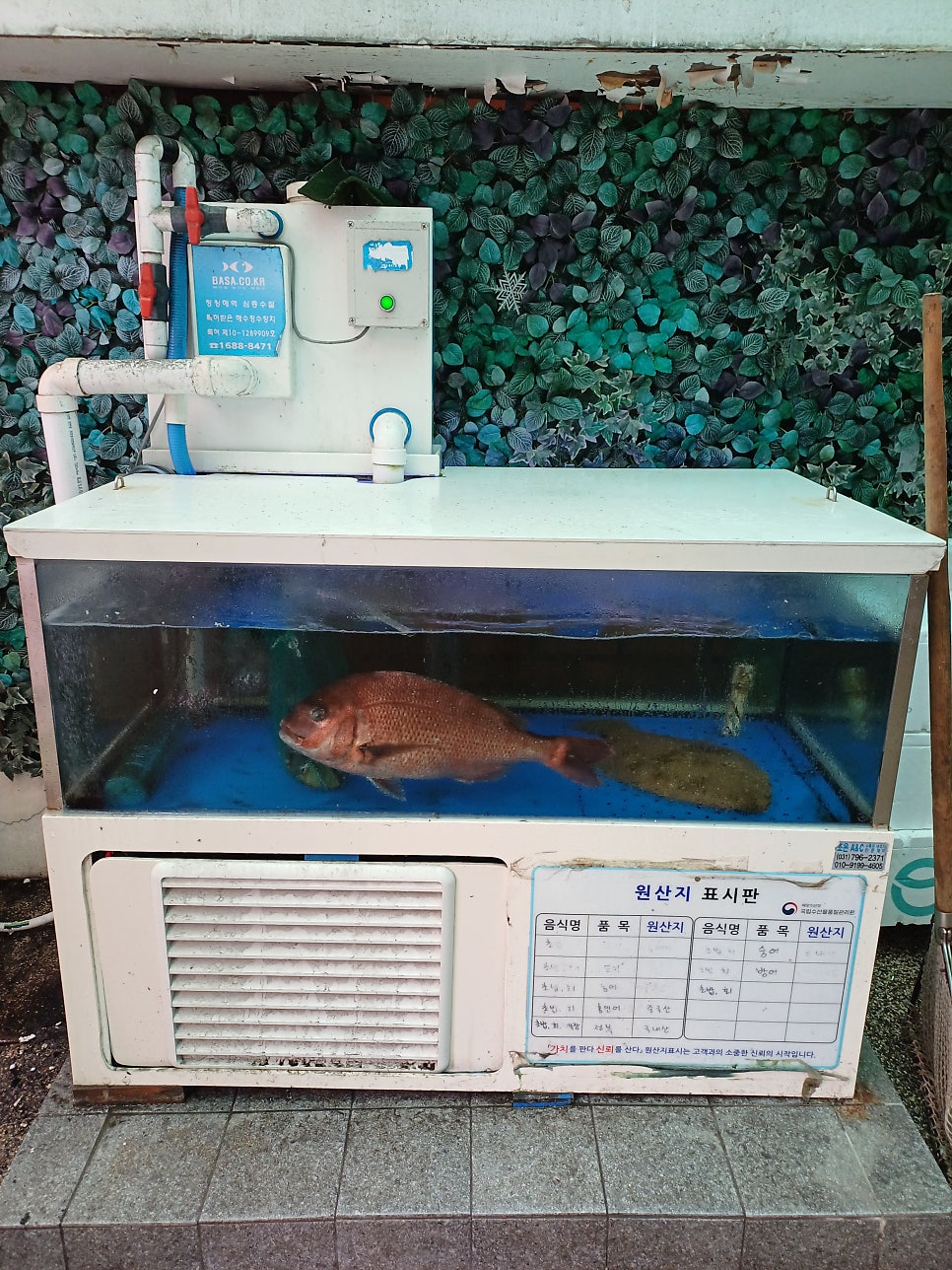 김태완스시 마포점 사진 5