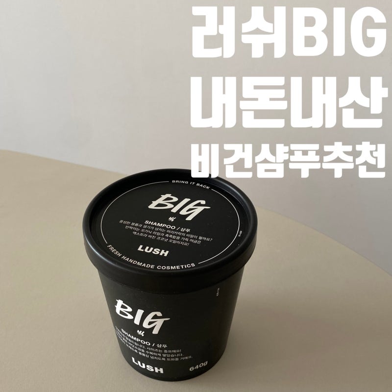 러쉬 BIG 빅 샴푸 내돈내산, 바다소금 비건샴푸 두피 가려움 볼륨 솔직후기
