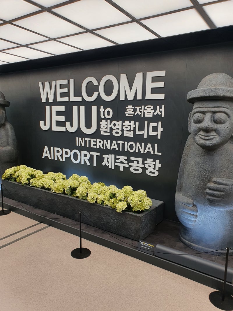 제주도 태풍 비행기 결항 기준, 이거 하나만 알면 판단 끝