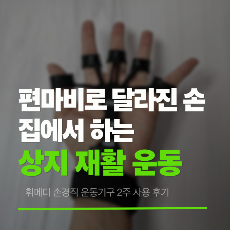 뇌출혈 편마비 달라진 왼손, 상지 재활 운동 루틴 휘메디 손경직 운동기구 2주 사용 후기