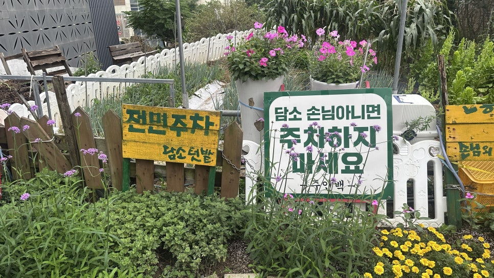 담소 사진 3