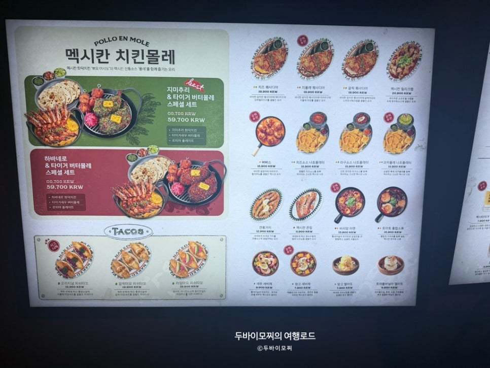 멕시타이거 사진 5