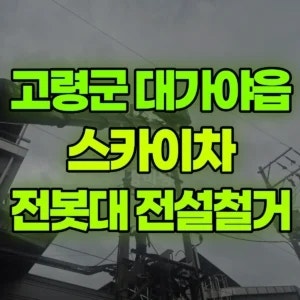 경북 고령군 스카이차 전봇대-전설철거 1시간 비용