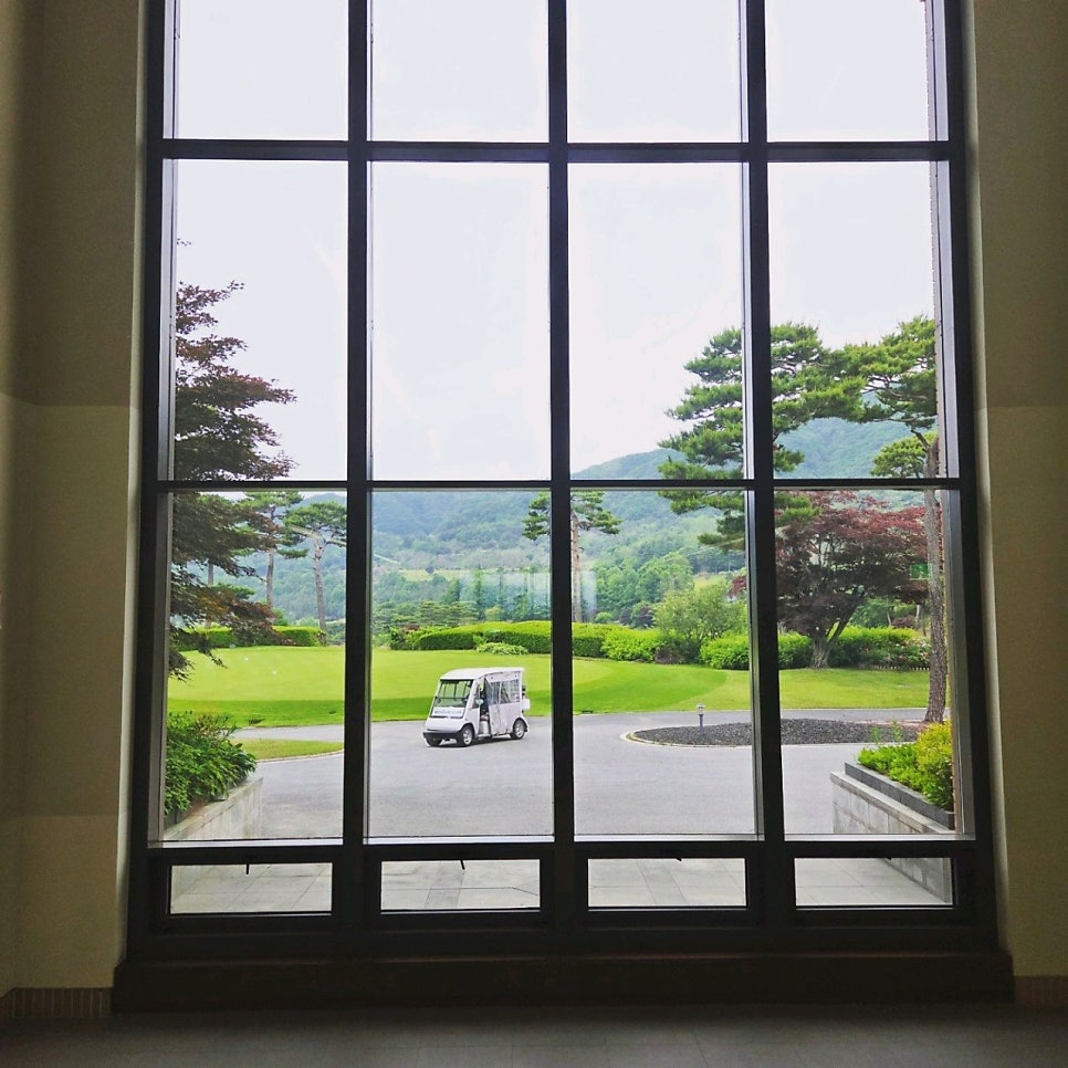 둥지 사진 4