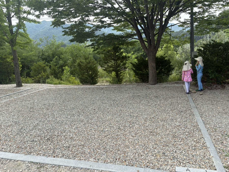 너와두리농촌캠핑장 사진 3
