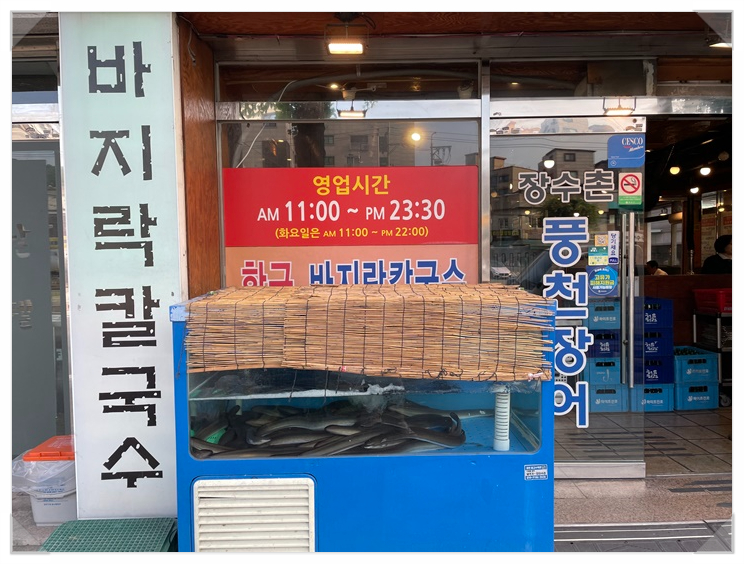 풍천장어 사진 1