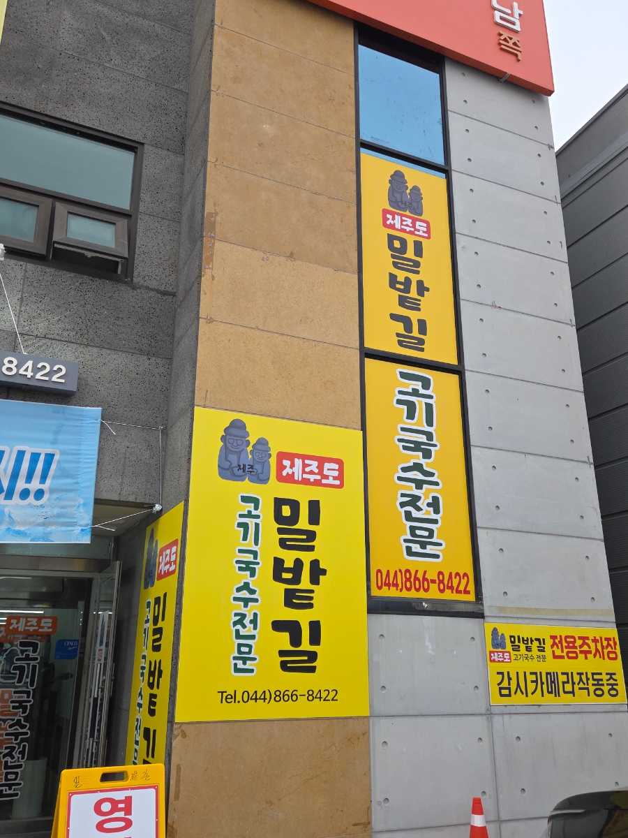 밀밭길 사진 2