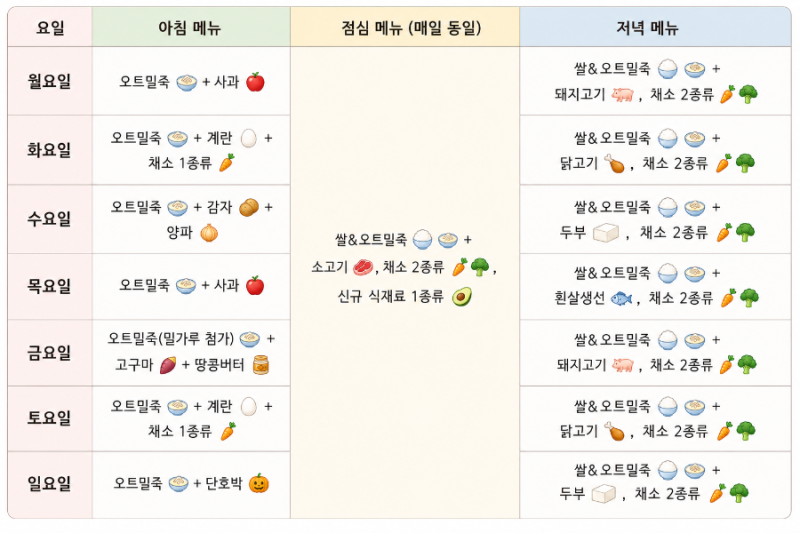 9개월 아기 이유식 - 3끼 이유식 식단 및 시간표 공유