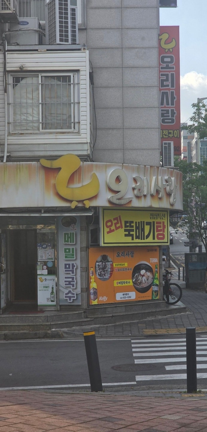 오리사랑 사진 1