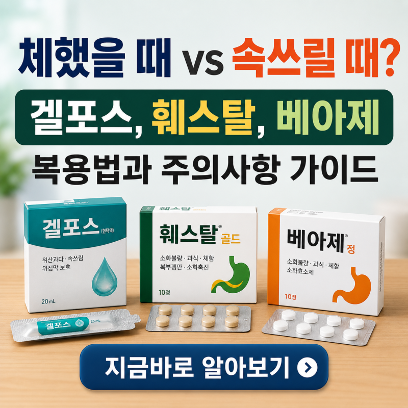 체했을 때 vs 속쓰릴 때? 겔포스, 훼스탈, 베아제 복용법과 주의사항 가이드