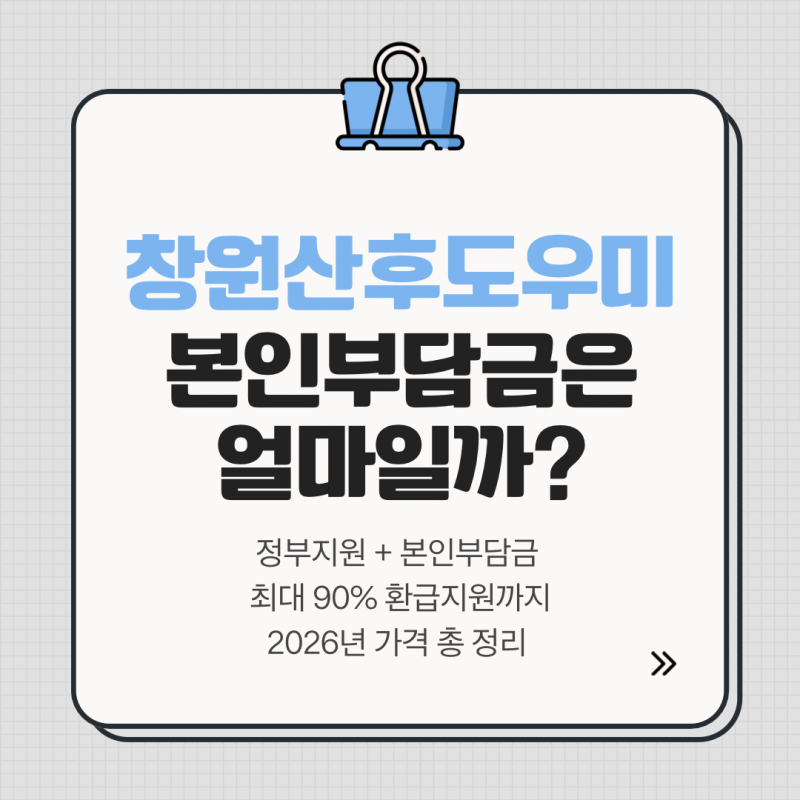 창원 산후도우미 가격, 얼마나 들까? 정부지원금부터 본인부담금 환급까지(feat. 아이온)