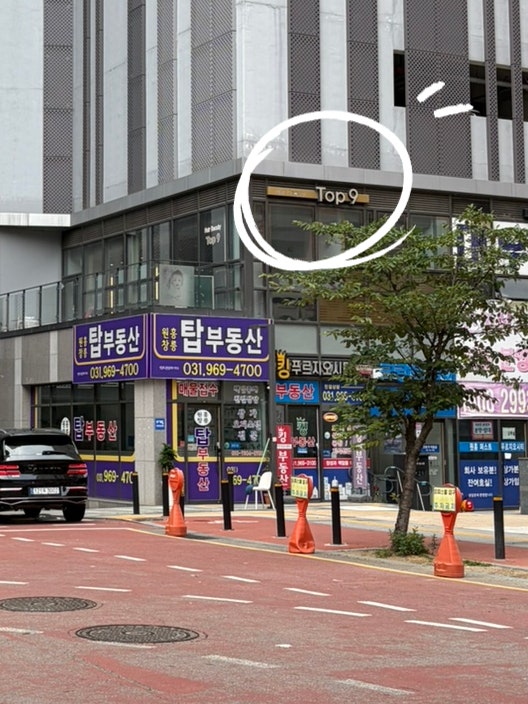 하랑 사진 4