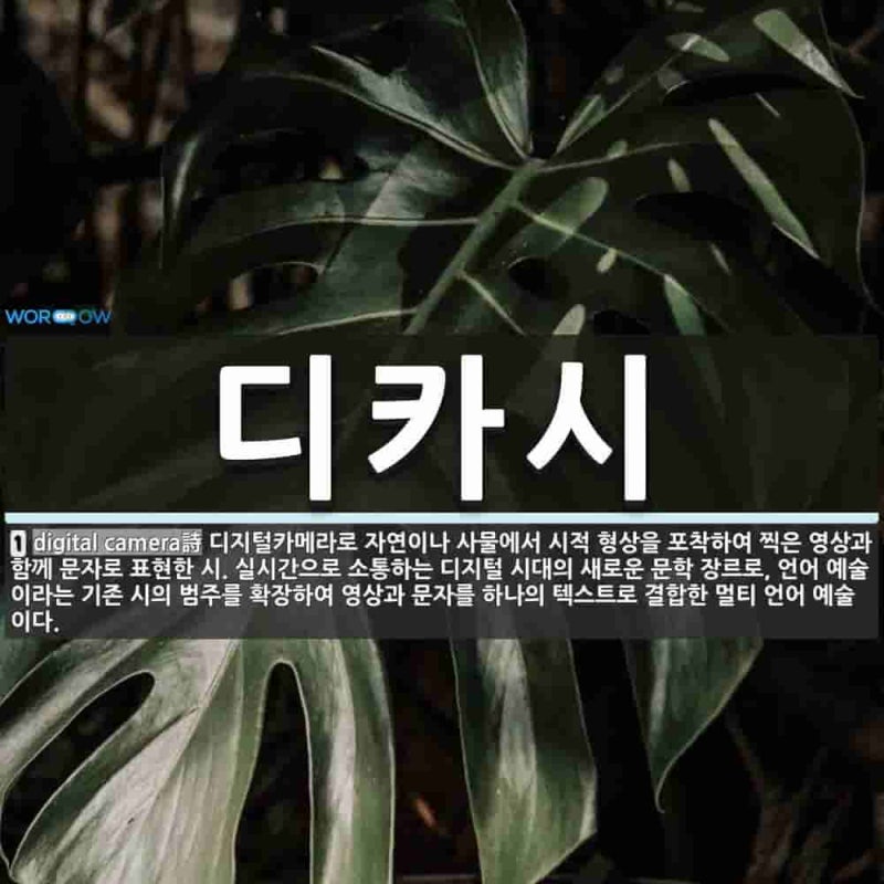 요즘 뜨는 디카시란 무엇일까? 초보자를 위한 디카시 작성법 및 매력 총정리/ 내 폰 속 사진....