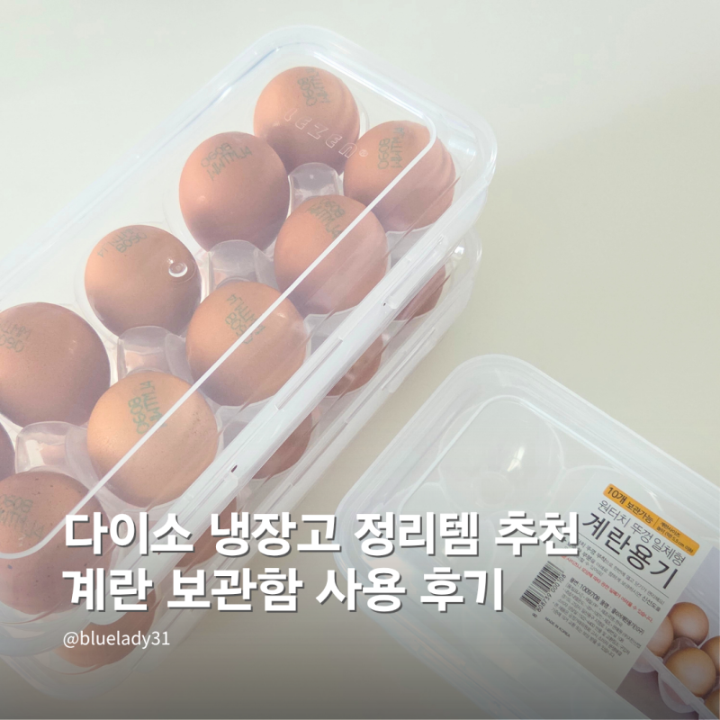 다이소 계란 보관함 사용 후기, 냉장고 정리까지 한번에!
