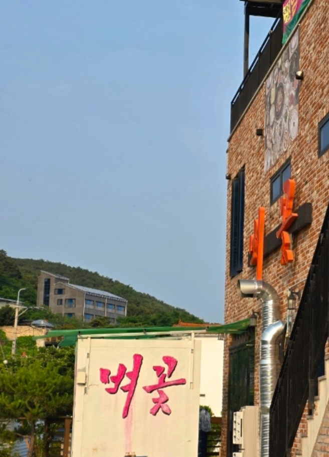 벼꽃 사진 1