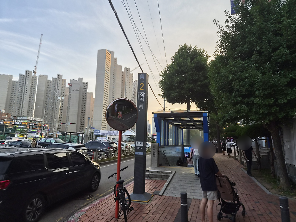 무한낙지 사진 5