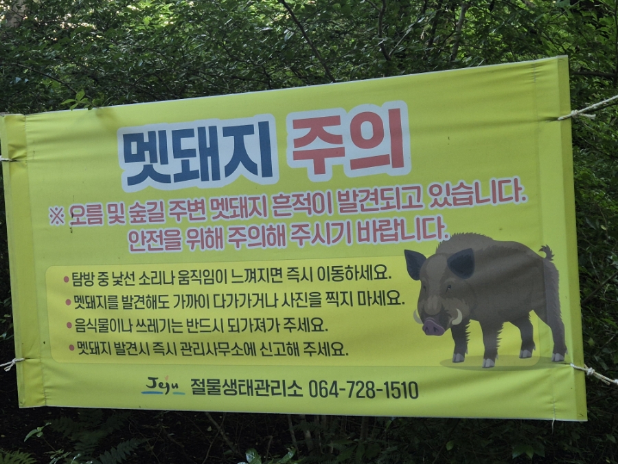 사방팔방 사진 5