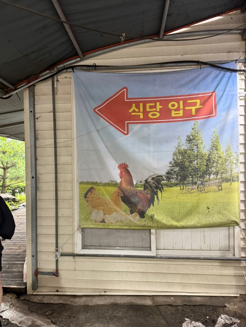 신례토종닭 사진 5
