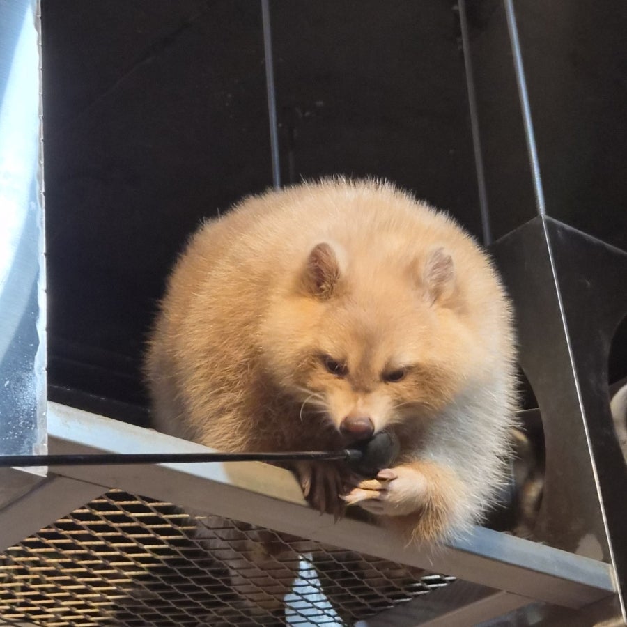 테이블에이 사진 1