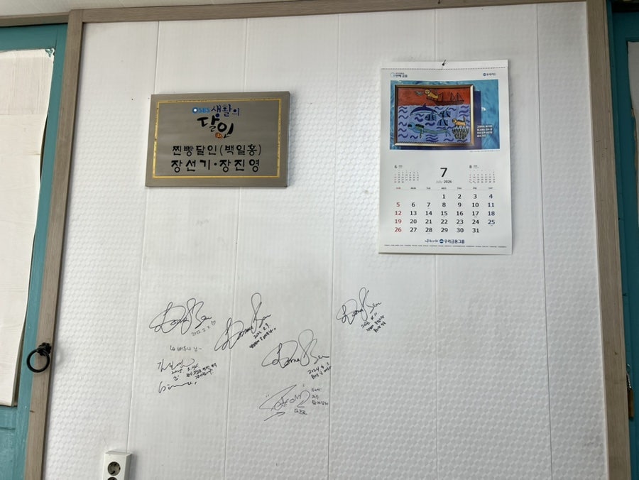 백일홍 사진 5