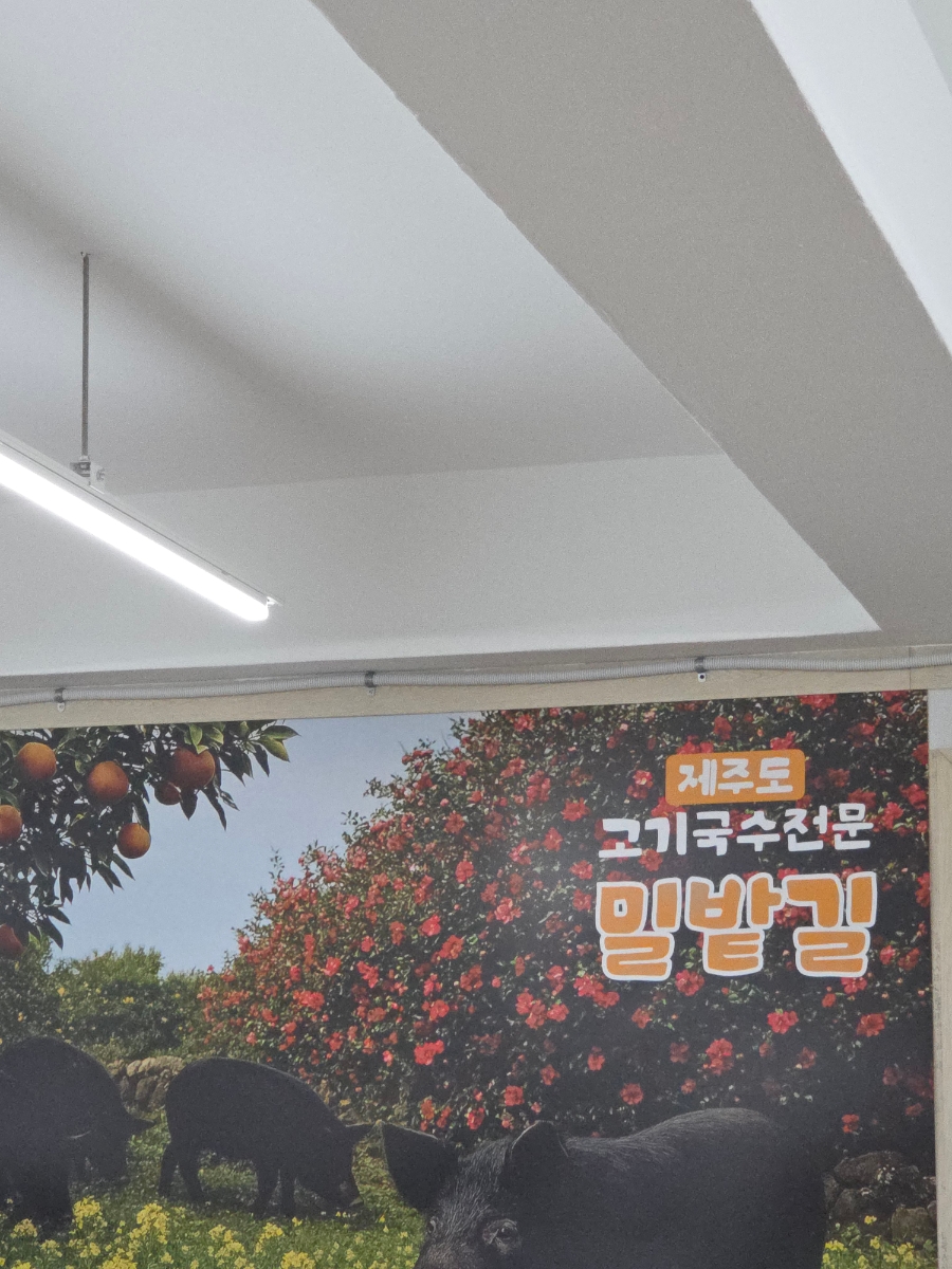 밀밭길 사진 4