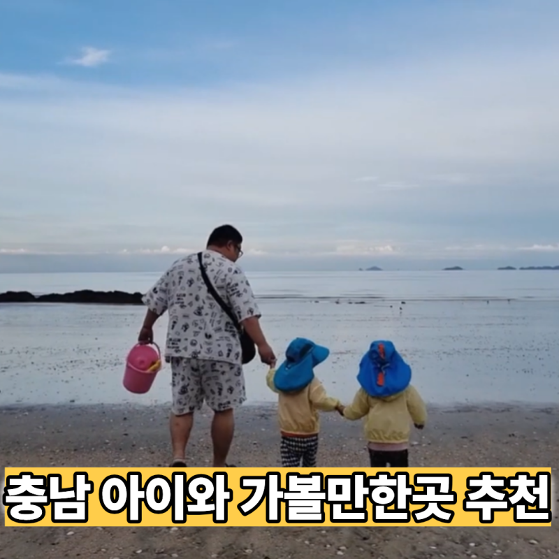 충남 아이와 가볼만한곳 추천! 보령 무창포 갯벌체험·대천해수욕장·라바풀빌라 후기