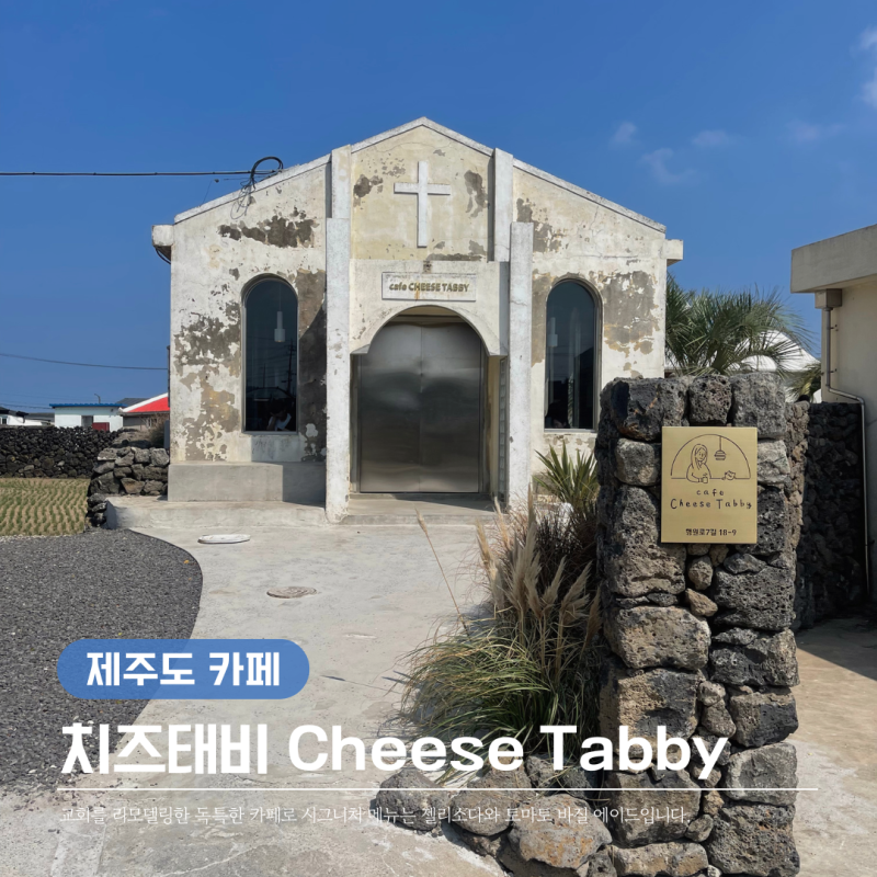 [카페] 제주도 카페 치즈태비 | 제주 구좌 카페 제주도 분위기 좋은 카페 추억 기록용 Cafe Chees....
