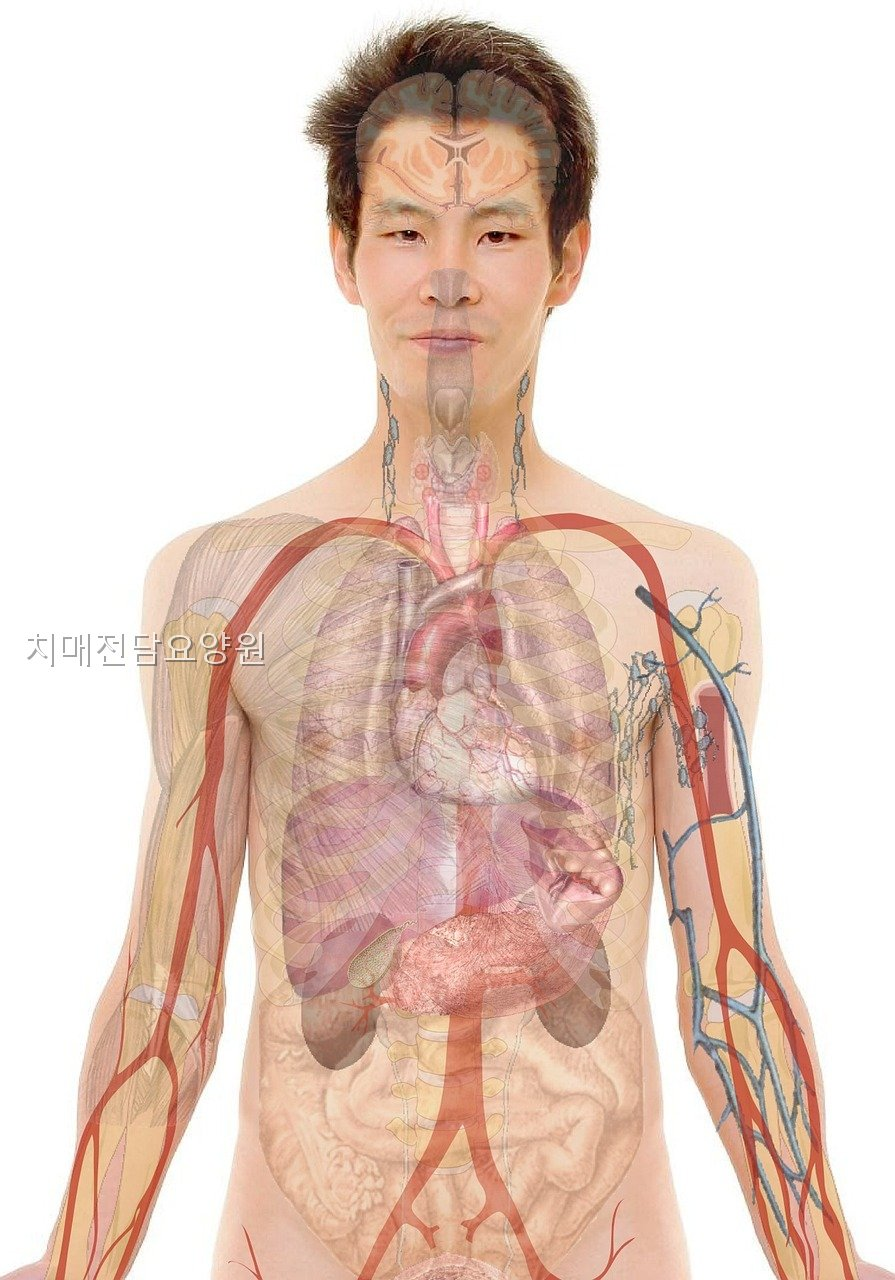 춘천시립요양원 사진 2