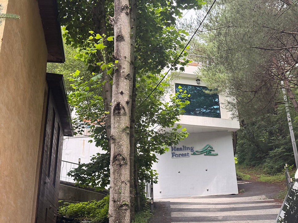 치악산펜션 사진 1
