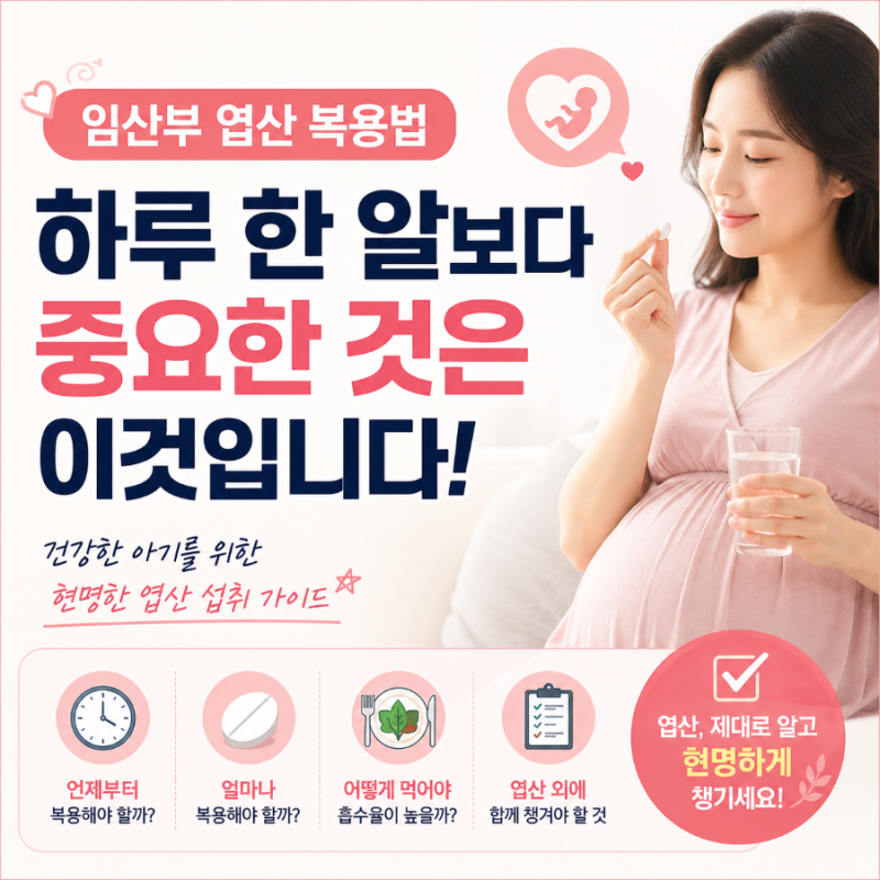 임산부 엽산 복용법 하루 한 알보다 중요한 것은 이것입니다