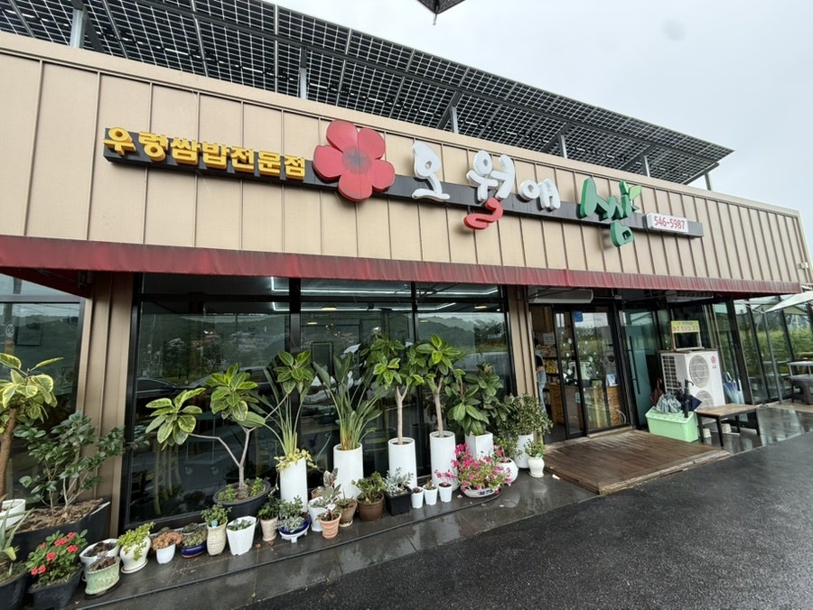 오월애쌈 사진 2