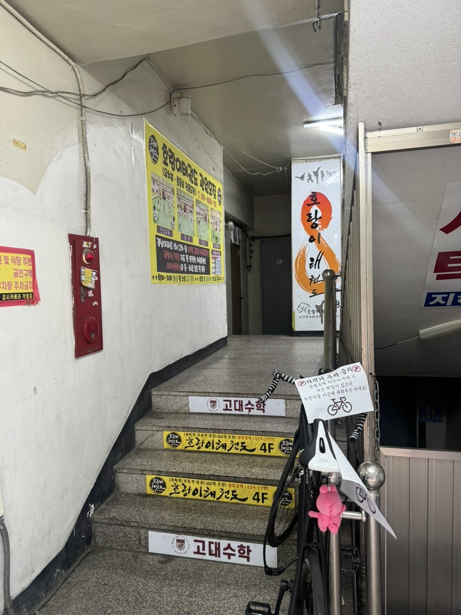 복돈 사진 2