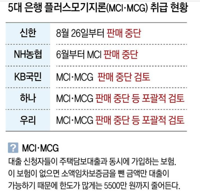 주담대 한도 5500만 원 차이? 방공제와 MCG MCI 대출 보증보험 뜻