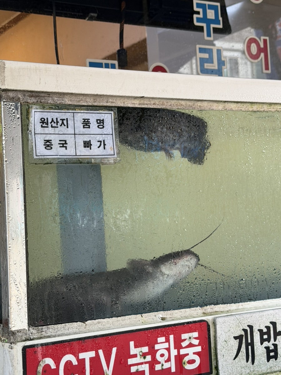 강마을민물매운탕 사진 5