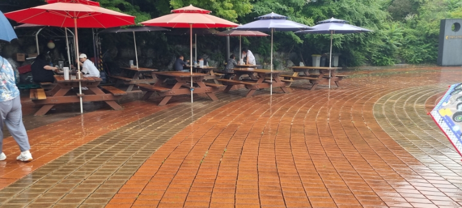 고향식당 사진 4