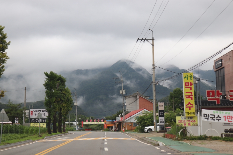 용문산농장 쌈밥마을 사진 1
