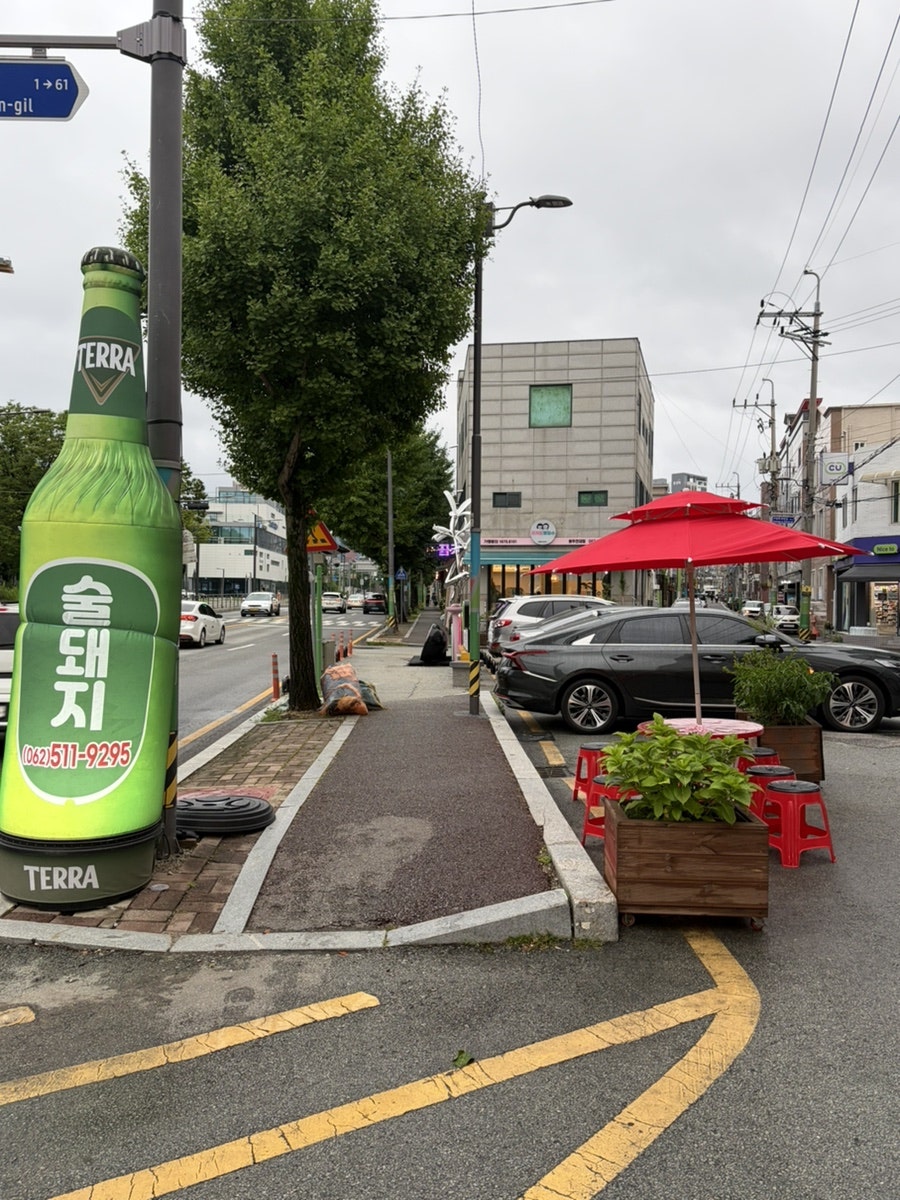 술돼지 사진 2