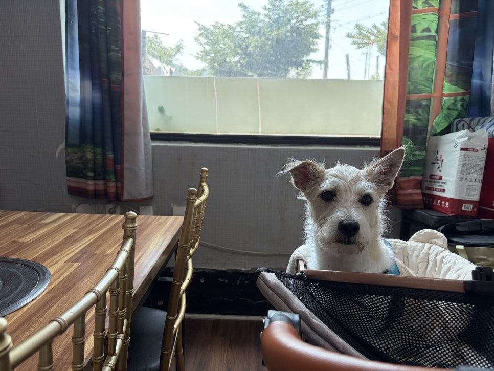 다솔가든 사진 5