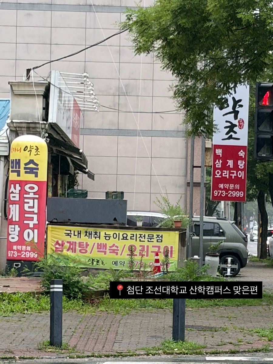심마니약초백숙 사진 2