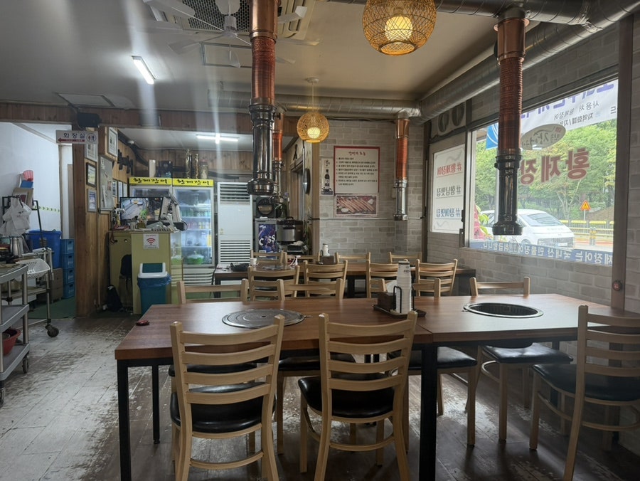 황제장어 사진 3